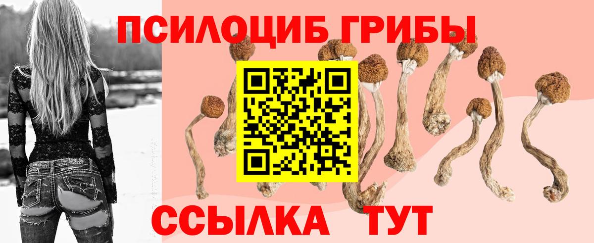Галлюциногенные грибы мухоморы Владикавказ